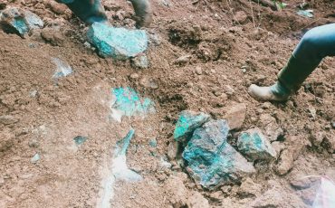 WhatsApp Image 2025-03-20 at 16.07.50